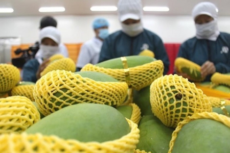 Trái cây Việt thâm nhập thị trường cao cấp