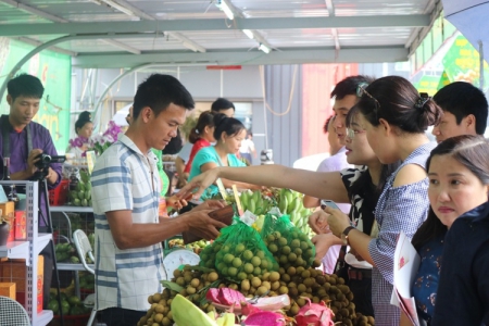 Kênh phân phối Việt: Đồng hành cùng doanh nghiệp