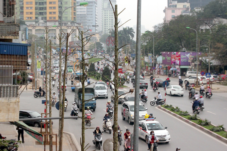 Hà Nội: Kế hoạch chi hơn 50 tỷ đồng cắt tỉa, thay thế cây xanh