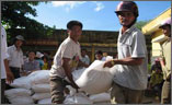 Hỗ trợ gạo cho 11 địa phương dịp Tết Nguyên đán