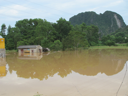 Nhiều huyện miền núi ven sông Lam ngập chìm trong nước